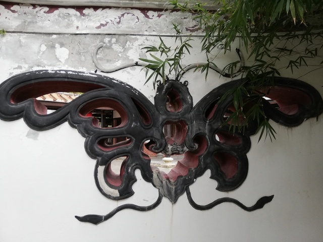 IMG_20200205_154105.jpg