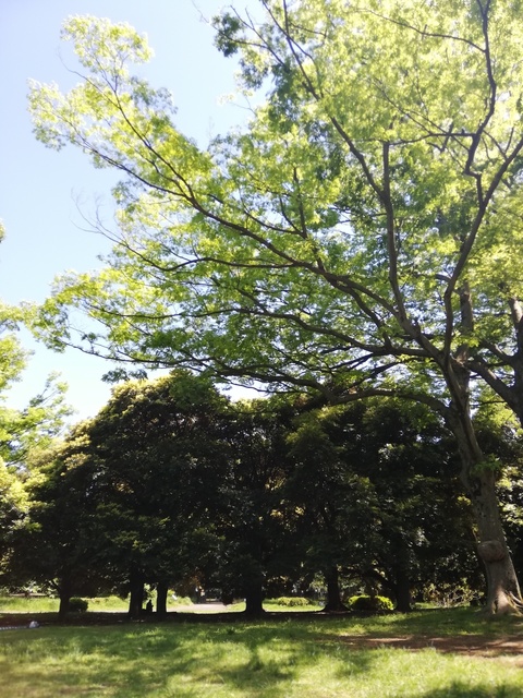 IMG_20200508_132109.jpg