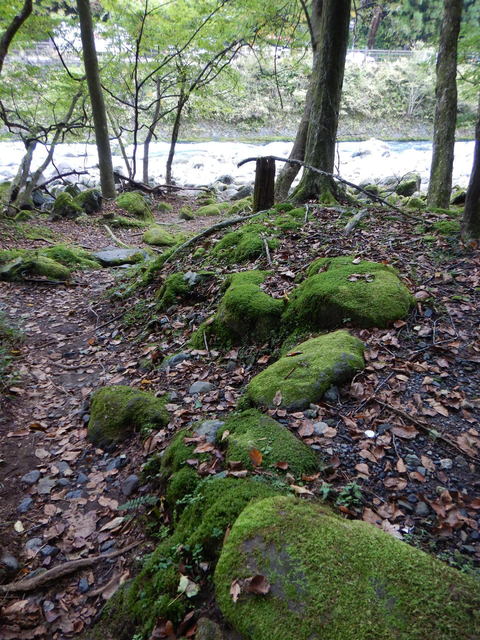 DSCN2636.JPG