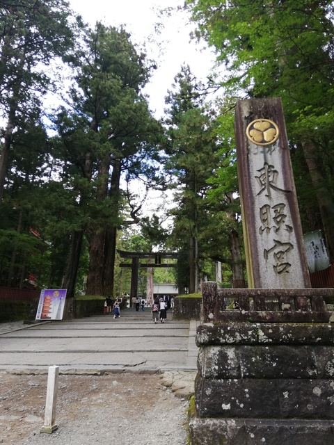 IMG_20201006_133631.jpg