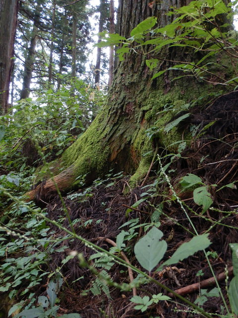 DSCN2712.JPG