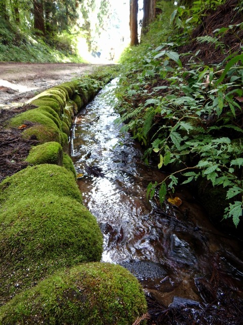 DSCN2726.JPG