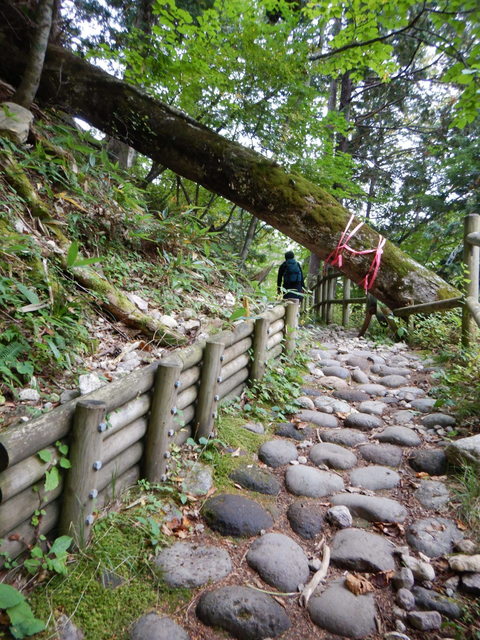 DSCN2756.JPG
