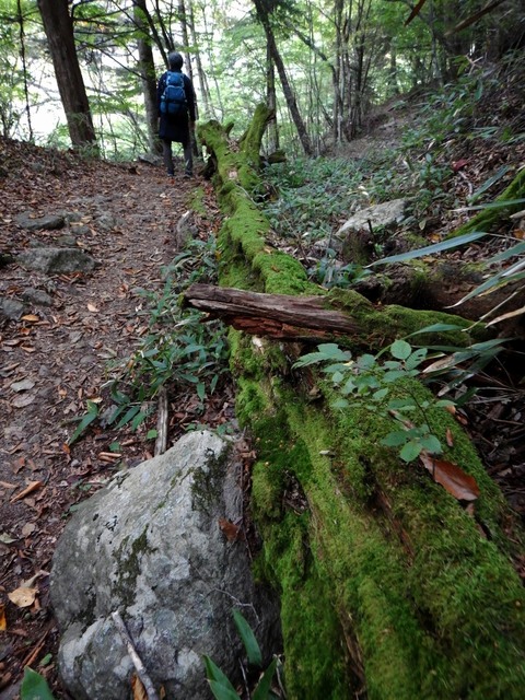 DSCN2764.JPG
