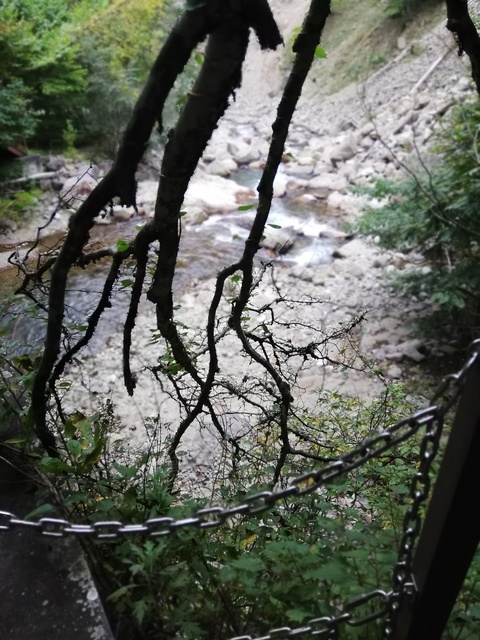 IMG_20201007_153842.jpg