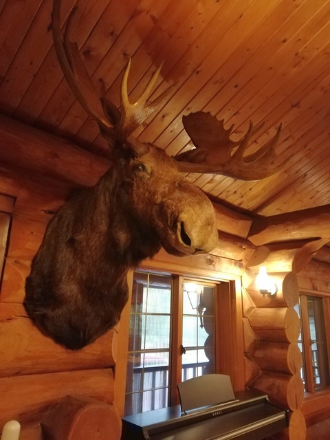 IMG_20201008_072819.jpg