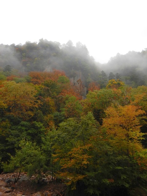DSCN2799.JPG