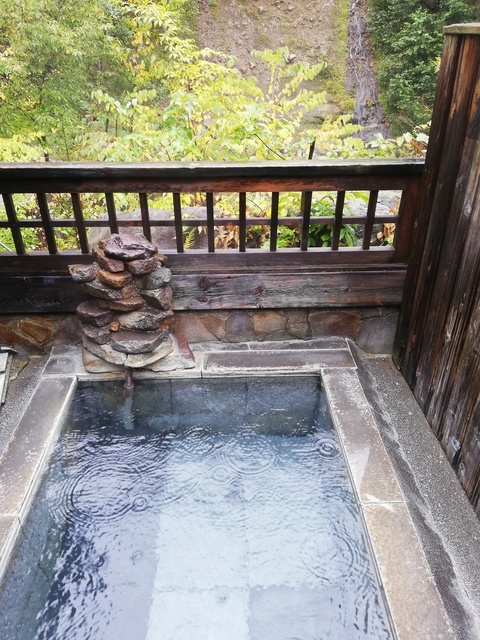 IMG_20201008_124753.jpg