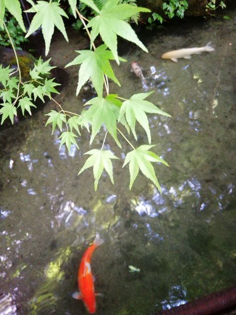 IMG_20211008_105402.jpg