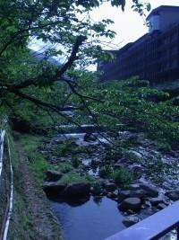 画像を等倍で表示します 画像