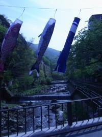 画像を等倍で表示します 画像