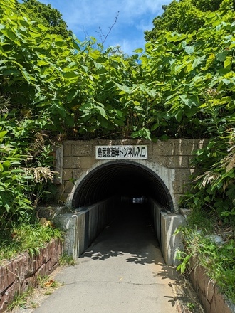 PXL_20230627_020612380.jpg