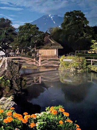 PXL_20240817_111015276.NIGHT~2.jpg