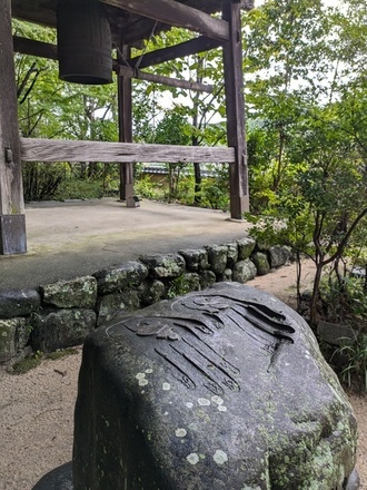 PXL_20241004_013241050.jpg