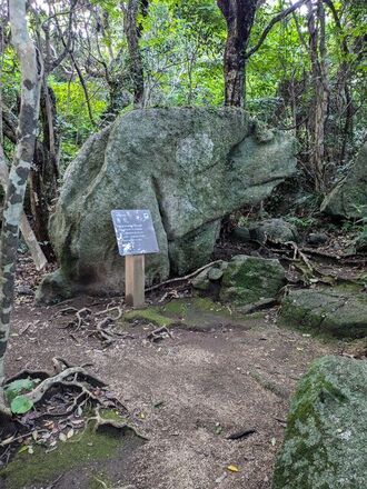 PXL_20241005_080341766.jpg