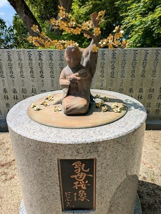 PXL_20250504_010646899.jpg